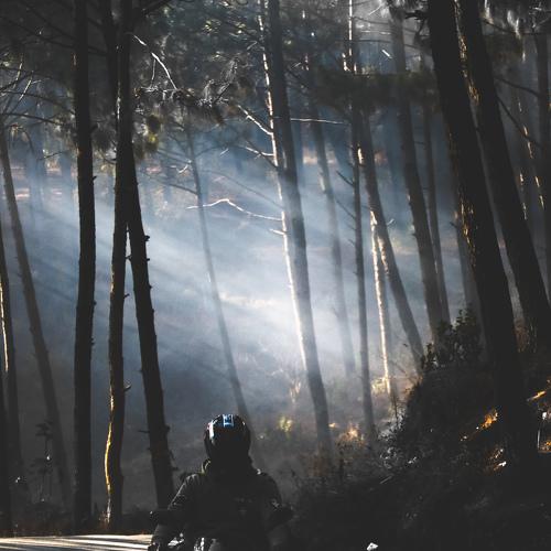 Photo #4130767