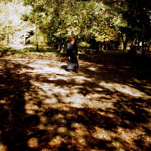 Photo #4130917
