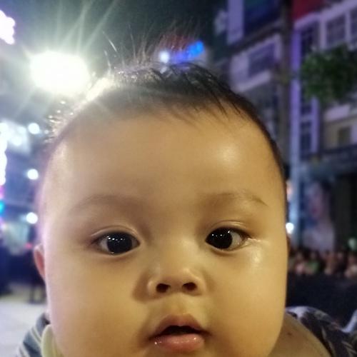 Photo #4131109