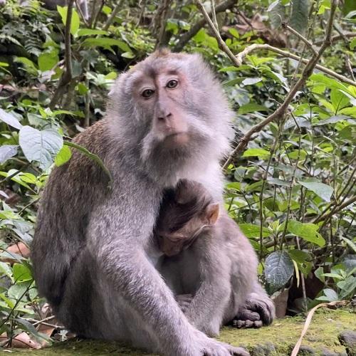 Photo #4131127