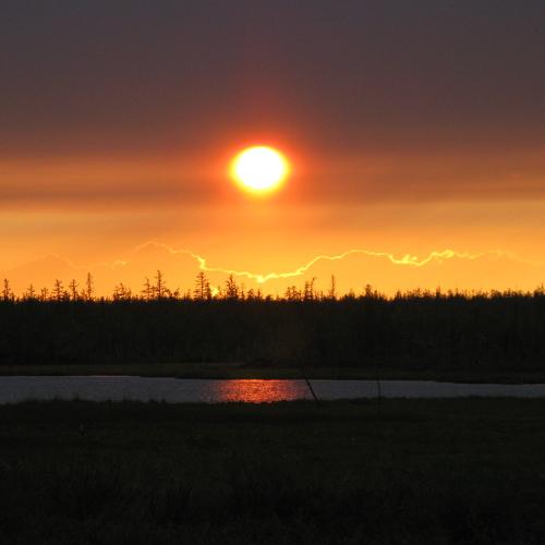 Photo #4131181