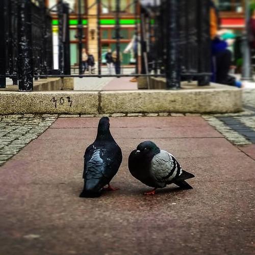 Photo #4131226