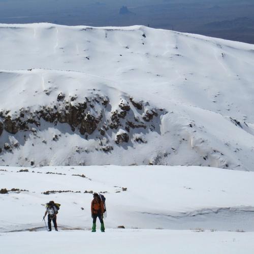 Photo #4132274