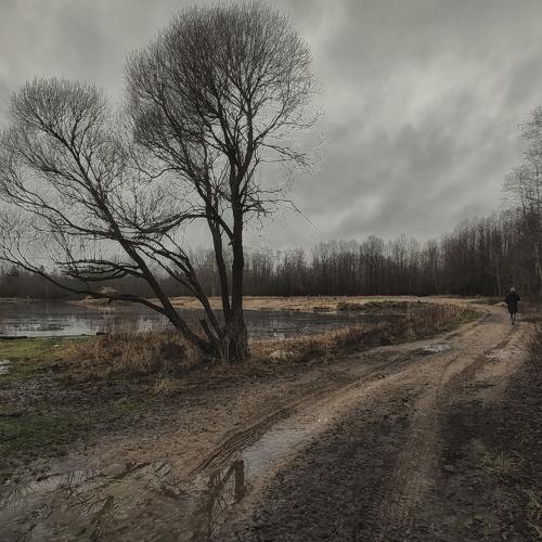 Photo #4132280