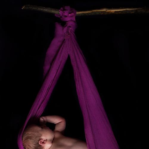 Photo #4132760