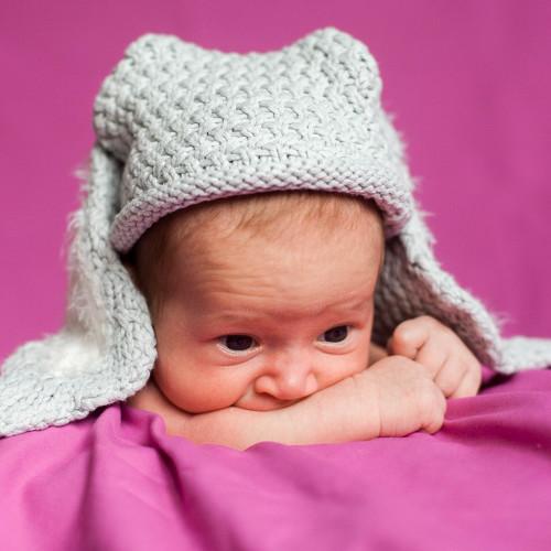 Photo #4132767