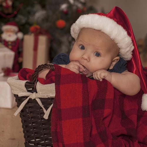 Photo #4132916