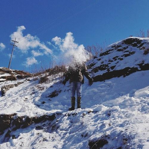 Photo #4133259