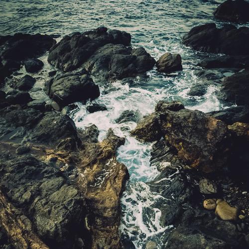 Photo #4133336