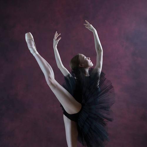 Photo #4133339