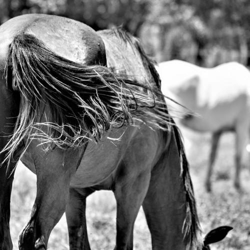 Photo #4133345