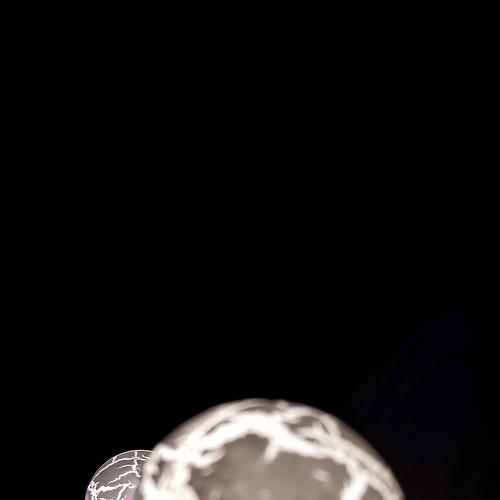 Photo #4133476