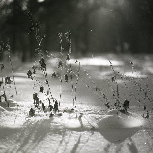 Photo #4133511