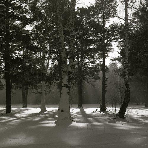 Photo #4133516
