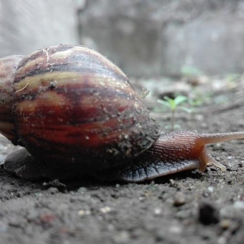 Photo #4133532