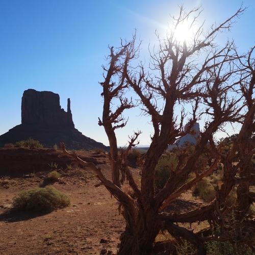 West Mitten Butte