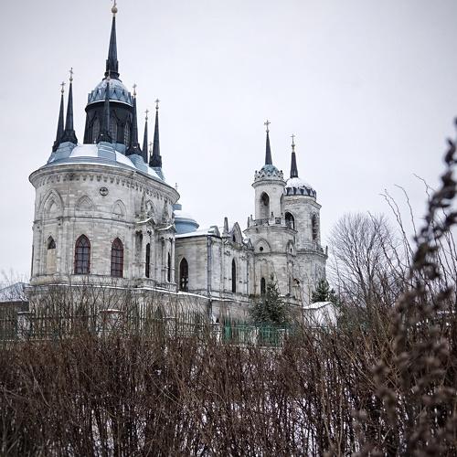 Photo #4133859