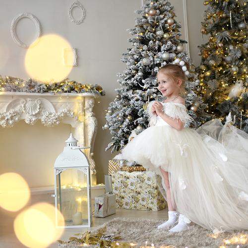 Photo #4133875