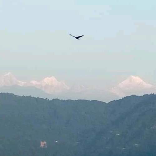 Freedom....!!!