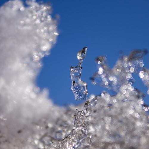 Photo #4134143