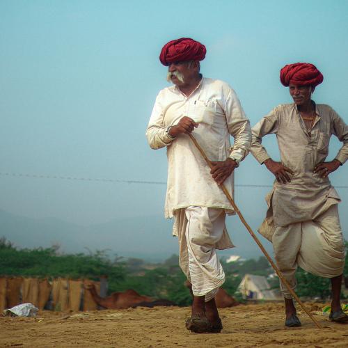 Photo #4134241