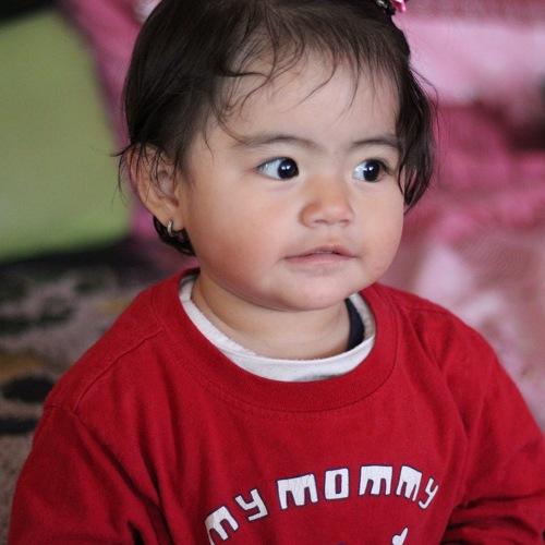 Photo #4134377