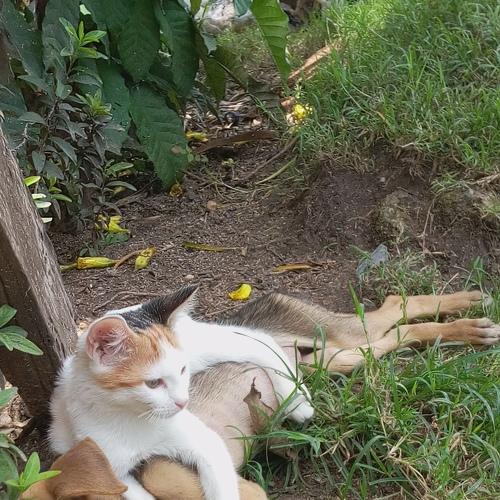 Photo #4134644