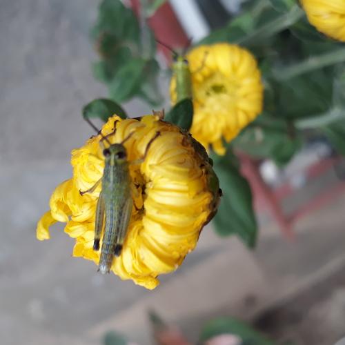 Photo #4135783
