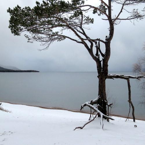 Photo #4136075