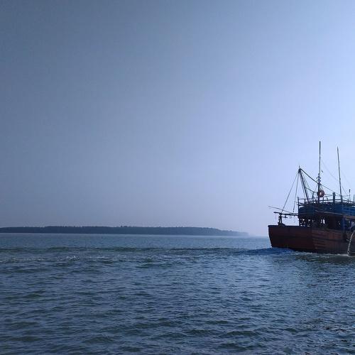 Photo #4136097