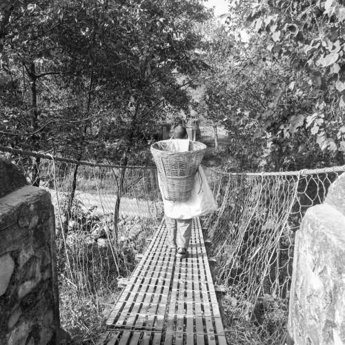 Potter in the suspension bridge