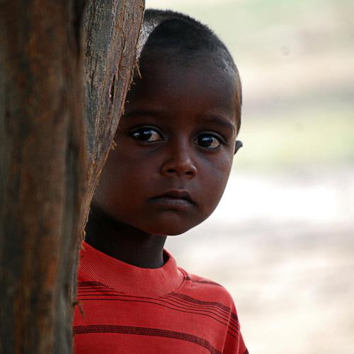 Photo #4136200