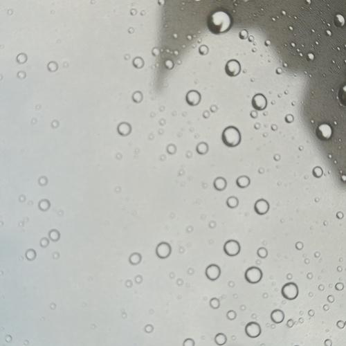 Photo #4136458