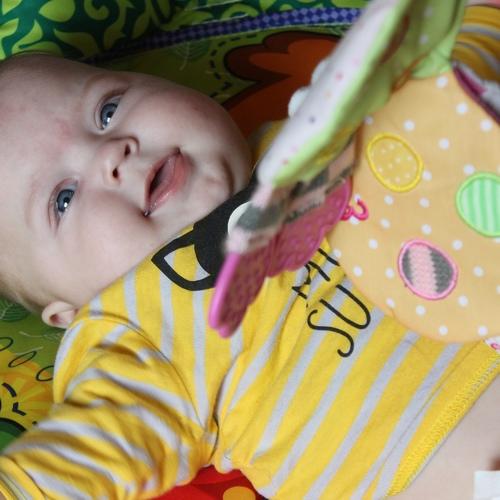 Photo #4136963