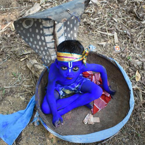Photo #4137140