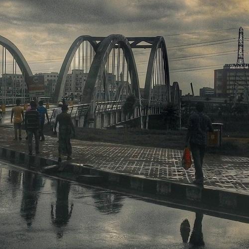 Photo #4137706