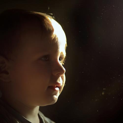 Photo #4138102