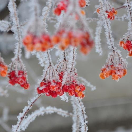 Photo #4138121