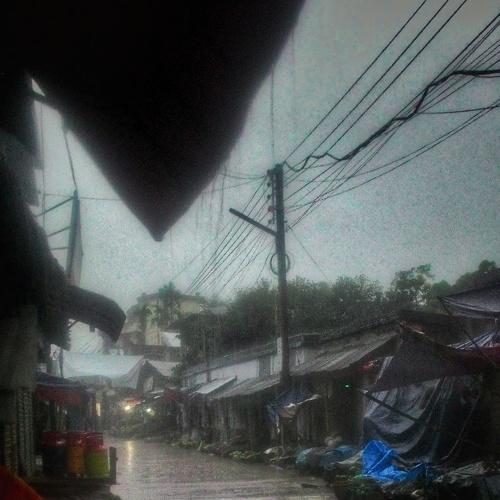Photo #4138126