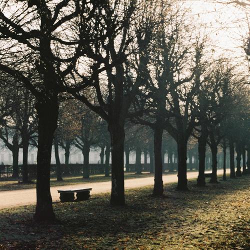 Photo #4138182