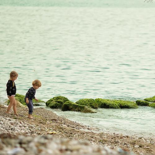 Photo #4138369