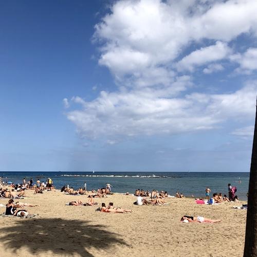 Photo #4138422
