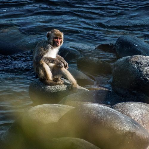 Photo #4138432