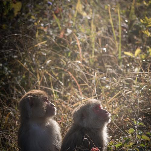 Photo #4138438