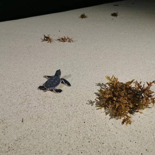 Photo #4138673