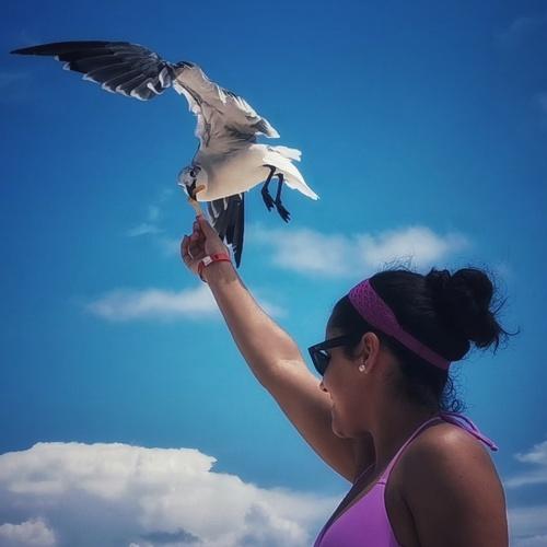 Photo #4138723