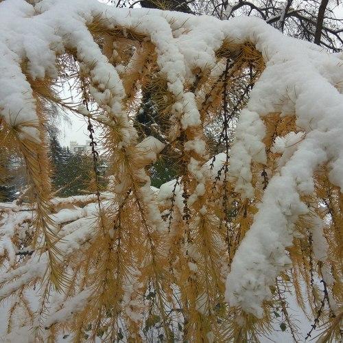 Photo #4138759