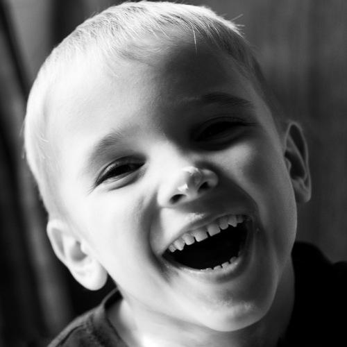 Photo #4138799