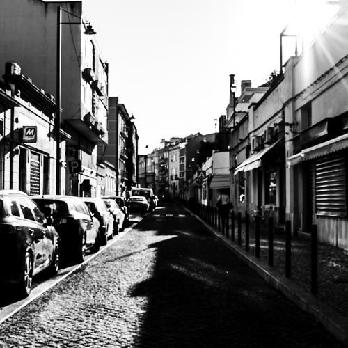 Photo #4138962