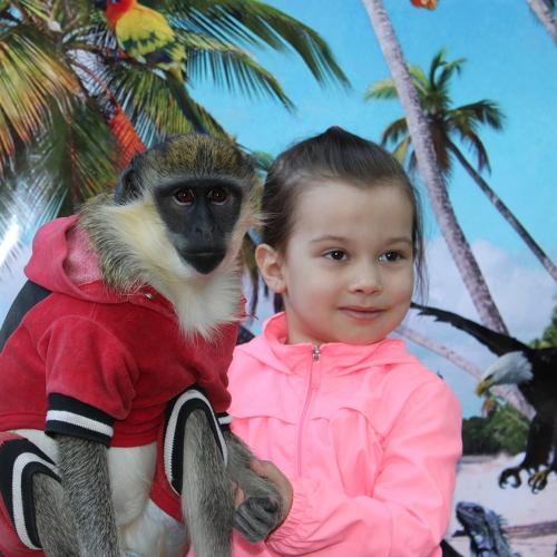 Photo #4139048